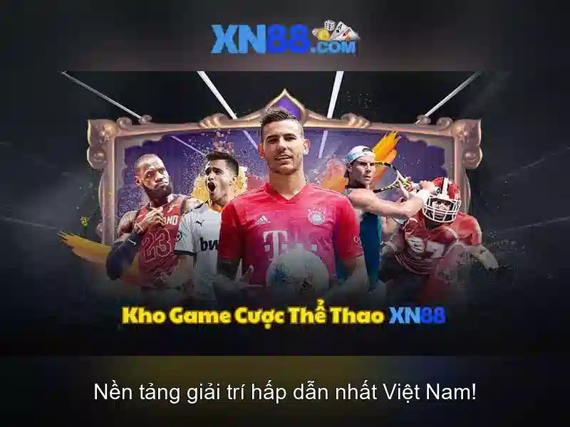 Lĩnh vực hoạt động
