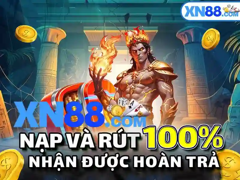  Trải nghiệm người dùng và phản hồi từ cộng đồng