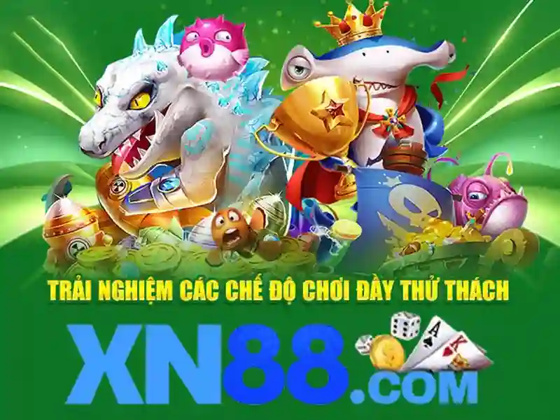 Giao diện và trải nghiệm người dùng