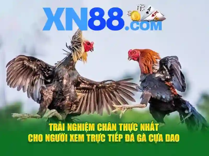 nhà cái xn88 – Nguồn gốc và sứ mệnh